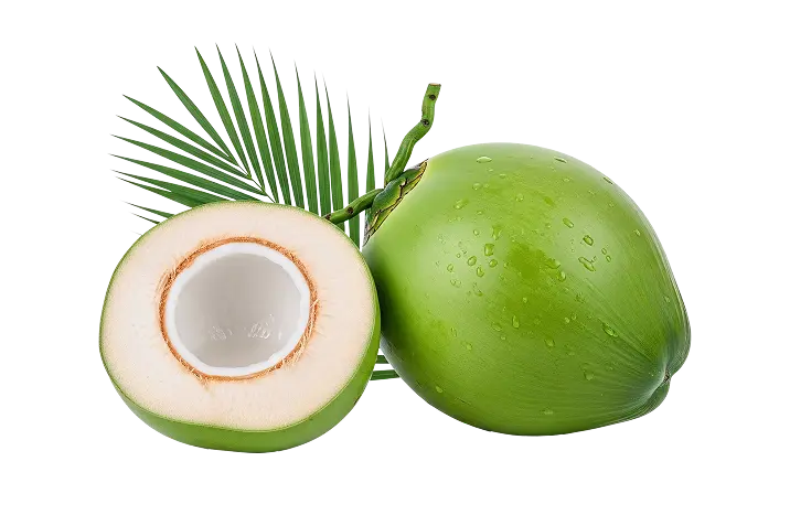 coconut